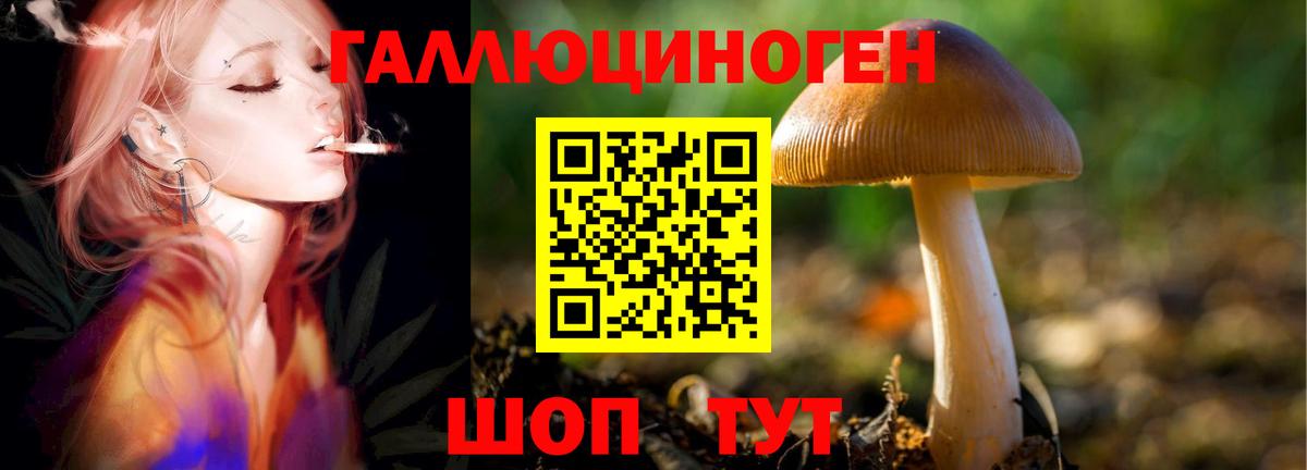 Галлюциногенные грибы Magic Shrooms Азов